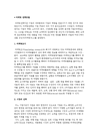 마케팅 전략모델에 대해 설명하시오-2