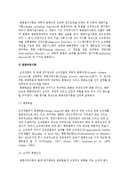 조직개발의 연구접근(변화실시이론과 변화과정이론)-4