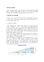 한국기업의 경영전략-2