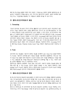[웹캐스팅][인터넷방송]웹캐스팅(인터넷방송)정의,기술특성,발달, 웹캐스팅(인터넷방송)현황,방법, 웹캐스팅(인터넷방송)문제점,전망-6