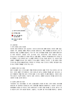 [마케팅] H&M의 마케팅 전략 분석-2