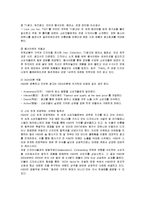 [마케팅] H&M의 마케팅 전략 분석-15