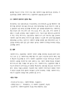(A+ 레포트) 한국 사회복지서비스 전달체계의 현황과 문제점 및 해결 방안-8