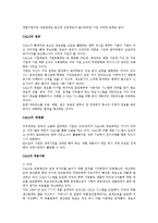 [전자무역론] CALS(전자광속상거래)-11