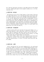 [국제문화] 독일 문화의 이해-낭만파 시대의 음악-3