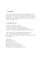 [경영학] 구글 크롬의 전략-2