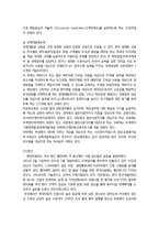 [국제경영] 현대자동차의 미국시장 진출-14