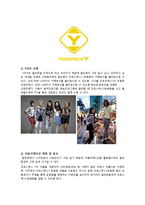 [마케팅 조사론] 국산 스포츠 브랜드 `프로스펙스` 경쟁력 강화를 위한 마케팅 전략-17