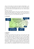 [유통전략] `삼양`의 경쟁력 재고를 위한 공급사슬 개선점 및 다각화 전략-3