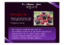 [무역상무론] 복분자와인 중국시장 수출 전략-4
