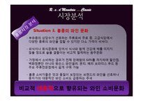 [무역상무론] 복분자와인 중국시장 수출 전략-18