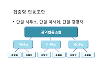 [협동조합론] 미국의 농업협동조합-10
