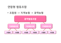 [협동조합론] 미국의 농업협동조합-11