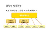 [협동조합론] 미국의 농업협동조합-12