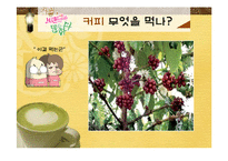 [소비자행동론] 우리나라 커피의 역사와 인기 커피 브랜드 소개-5