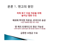 [경제학] 일본 대지진과 엔화-6