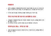 [국제경제학] 세계자본시장-성과와 정책적 문제-4
