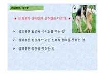 [고용관계론] 직장 내 성희롱 원인과 예방대책-8