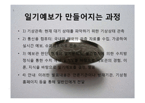 [확률론] 수학과 직업-기상예보관, 교수, 펀드매니저-11