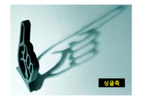 [소비자 유형분석] 2010년 이후 신 소비자 조사-싱글족, 스포슈머-2
