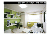 [소비자 유형분석] 2010년 이후 신 소비자 조사-싱글족, 스포슈머-6