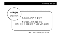 [소비자 유형분석] 2010년 이후 신 소비자 조사-싱글족, 스포슈머-15