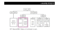 [소비자 유형분석] 2010년 이후 신 소비자 조사-싱글족, 스포슈머-16