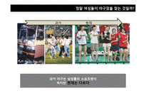 [소비자 유형분석] 2010년 이후 신 소비자 조사-싱글족, 스포슈머-18