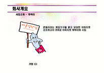 [창업론] 성인용품 온라인 쇼핑몰 사업계획서-6