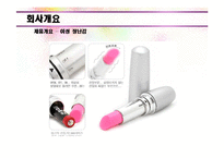 [창업론] 성인용품 온라인 쇼핑몰 사업계획서-10