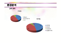 [창업론] 성인용품 온라인 쇼핑몰 사업계획서-15