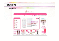 [창업론] 성인용품 온라인 쇼핑몰 사업계획서-18