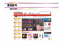 [창업론] 성인용품 온라인 쇼핑몰 사업계획서-20
