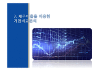 [재무관리] 재무비율분석을 통한 기업비교분석(LG패션과 베이직 하우스 분석)-14