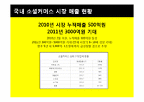 [소비자 정보와 시장조사] 소셜커머스 시장현황과 장단점, 피해 유형과 해결방안-9
