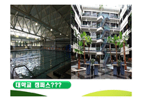 [인적자원관리] SAS 혁신적 HRM-3