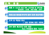 [인적자원관리] SAS 혁신적 HRM-13