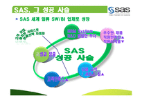 [인적자원관리] SAS 혁신적 HRM-18