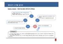 [마케팅원론] 현대자동차 엔트리카 마케팅전략-8