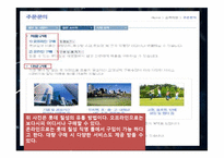 [마케팅원론] 펩시 4P, SWOT, STP 분석-11