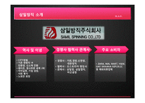 [경영학] 삼일방직의 내부, 외부환경 분석 및 발전전망-2