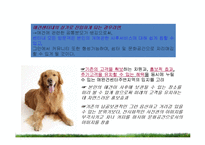 [창업경영론] 애완동물 장묘사업 사업계획서-13