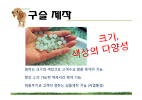 [창업경영론] 애완동물 장묘사업 사업계획서-20