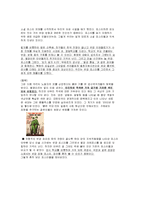 [사회심리학] 사회인지 - 고정관념과 편견-10