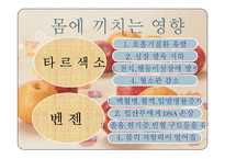 식품안정성과 평가-8
