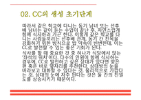 [인간관계론] 캠퍼스커플, CC의 생성, 연애단계와 이별 후 자세-7