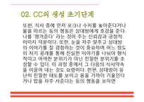 [인간관계론] 캠퍼스커플, CC의 생성, 연애단계와 이별 후 자세-8