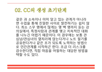 [인간관계론] 캠퍼스커플, CC의 생성, 연애단계와 이별 후 자세-11