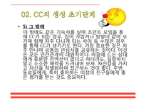 [인간관계론] 캠퍼스커플, CC의 생성, 연애단계와 이별 후 자세-15