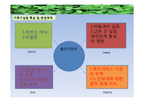 [사회복지실천기술론] 노인학대 개입의 평가 및 사후 관리-13